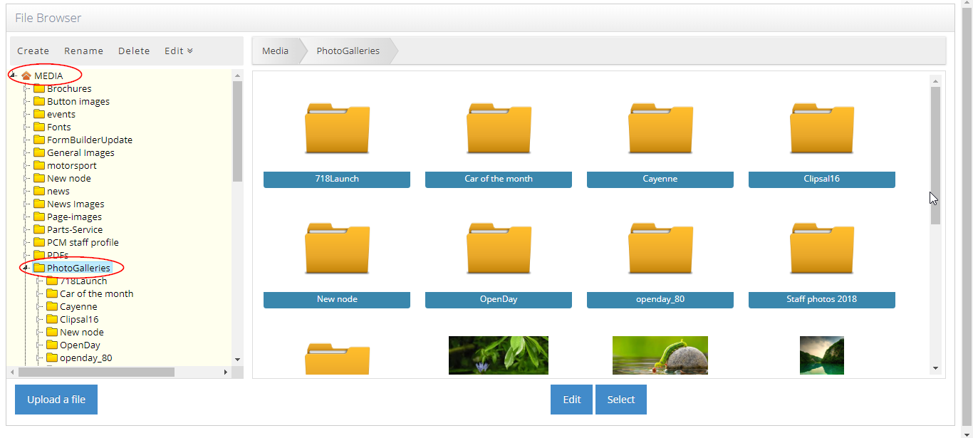 Updating Photo Gallery