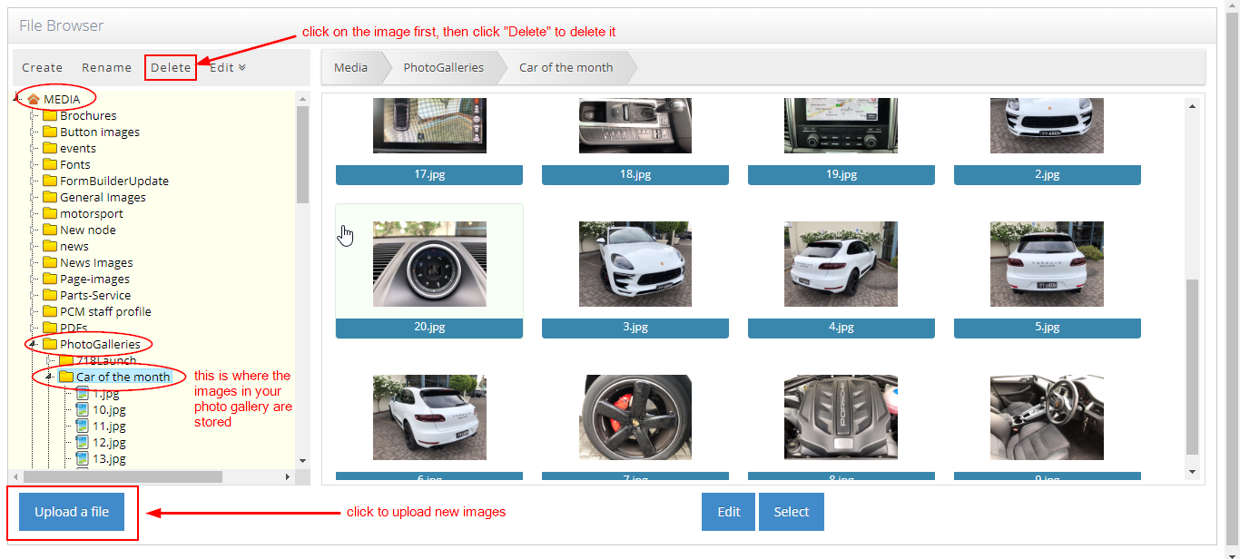 Updating Photo Gallery