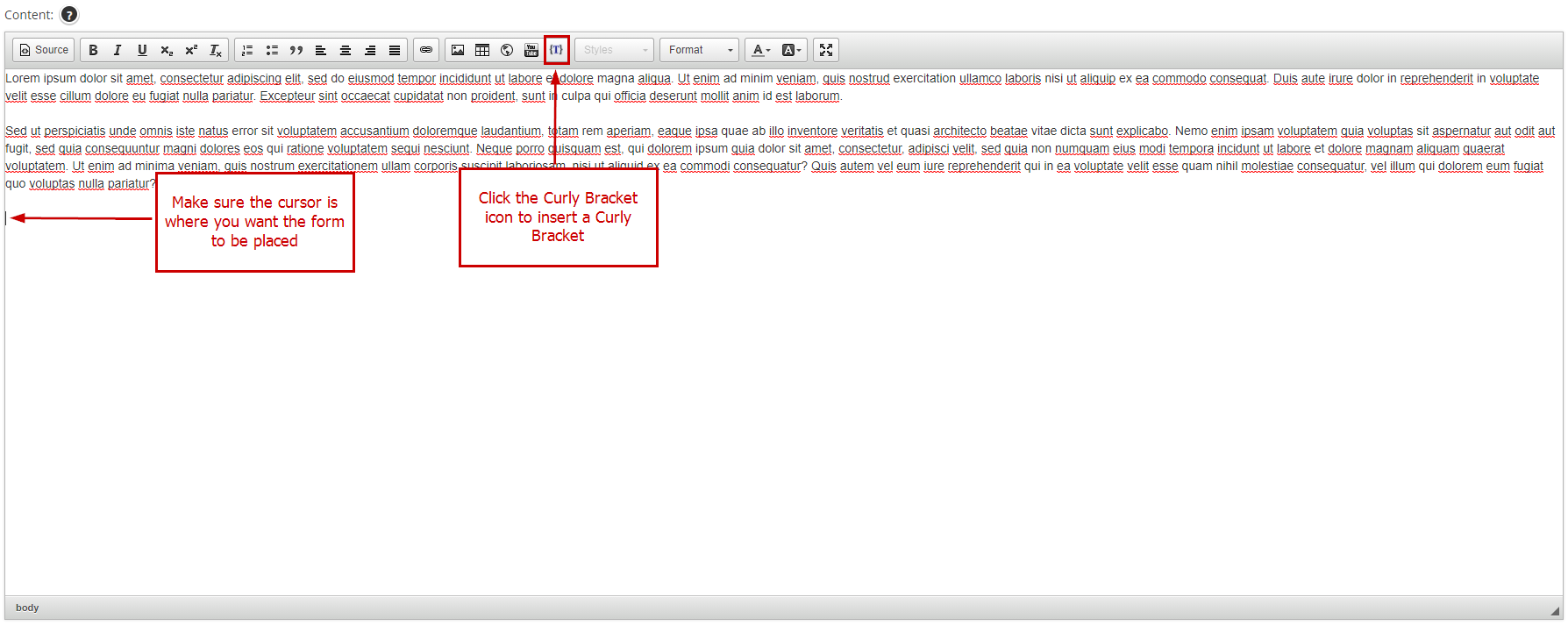 Inserting a form using Curly Bracket